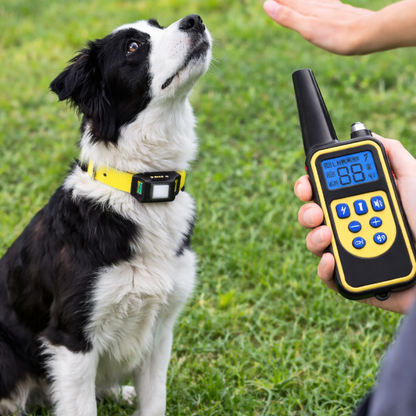 Lumiere™ Remote Dog Training Collar