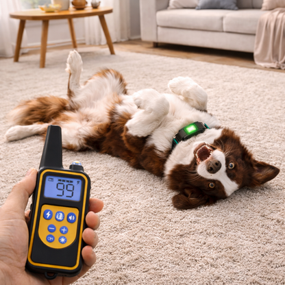 Lumiere™ Remote Dog Training Collar